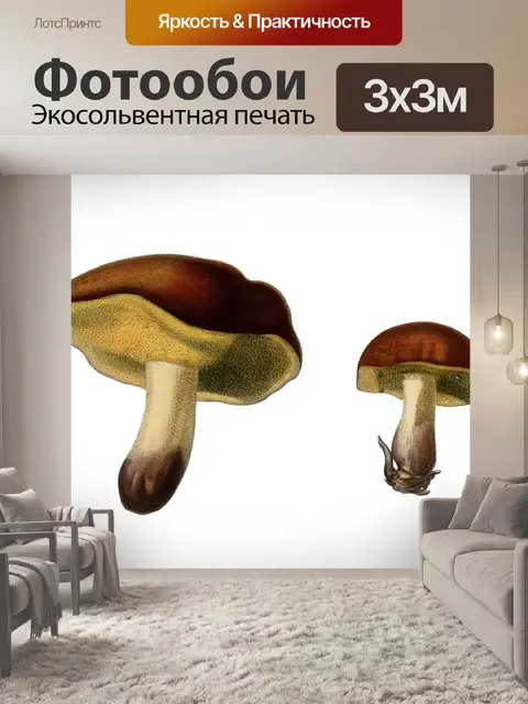 Фотообои Грибная винтажная художественная иллюстр