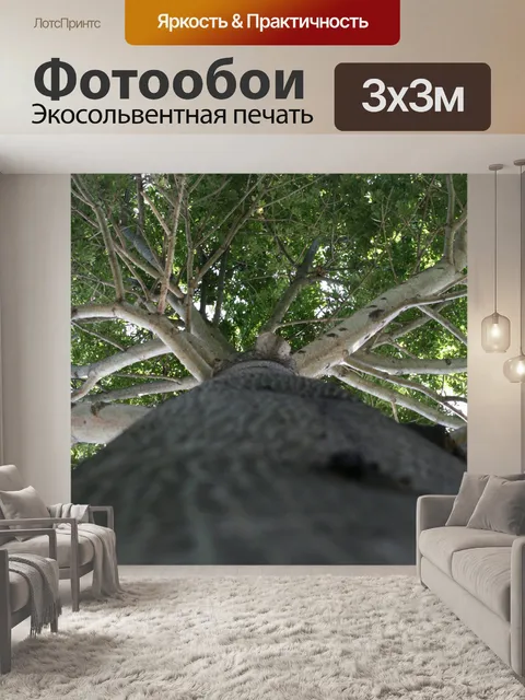 Фотообои Коста-Рика Дерево