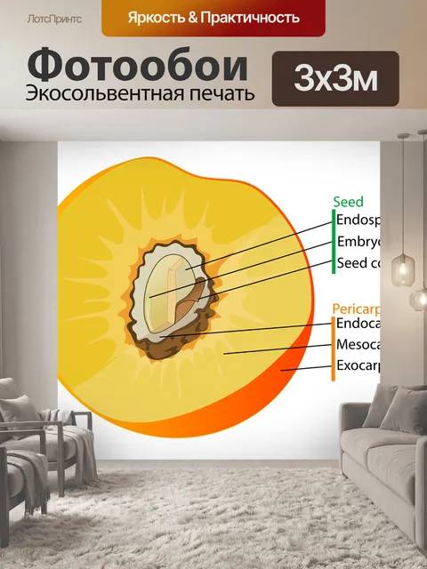Фотообои Диаграмма