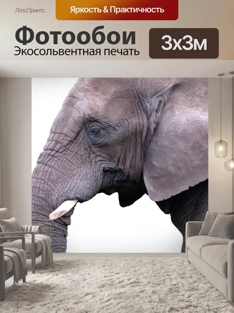 Фотообои Млекопитающее