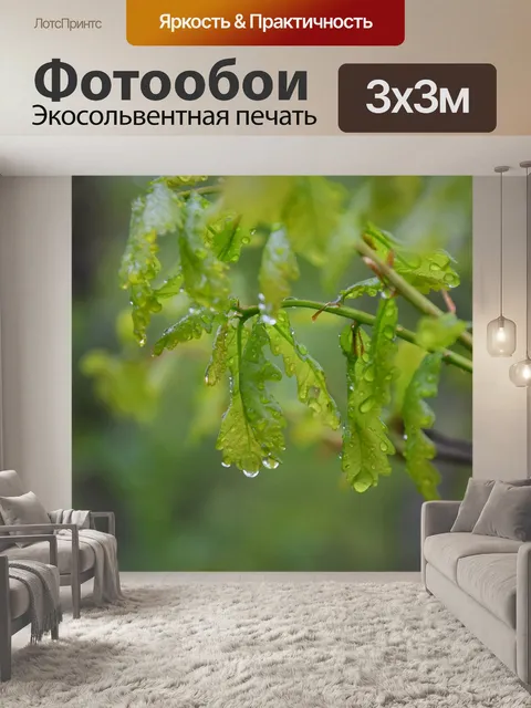 Фотообои Дубовые листья