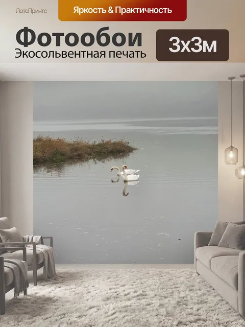 Фотообои Лебеди на воде