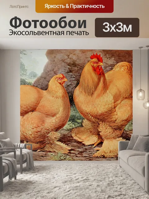 Фотообои Кочин курица и петух