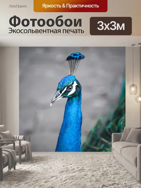 Фотообои Павлин