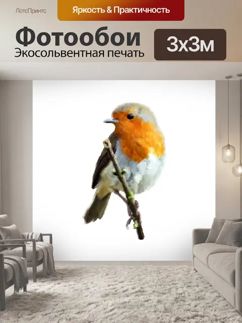 Фотообои Птица Робин изолированных