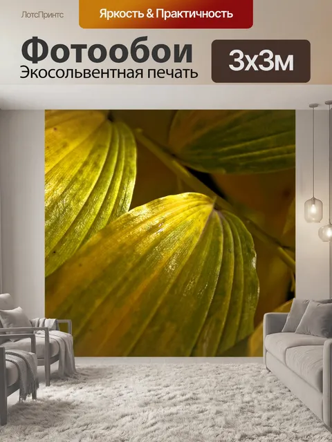 Фотообои Лист