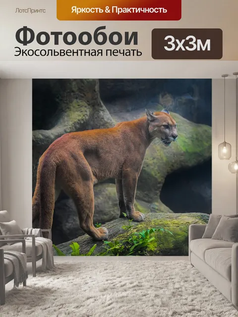 Фотообои Дикие
