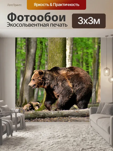 Фотообои Бурый медведь
