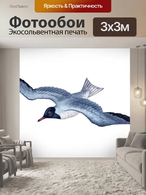 Фотообои Иллюстрация винтажного искусства птиц