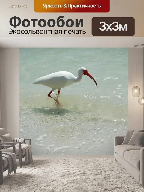 Фотообои Ибис