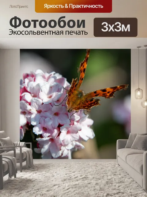 Фотообои Бабочка павлина