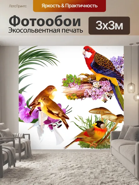 Фотообои Птицы