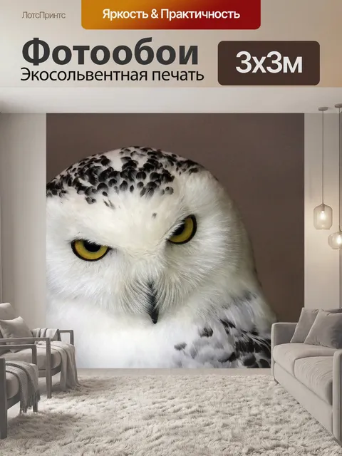 Фотообои Снежная сова
