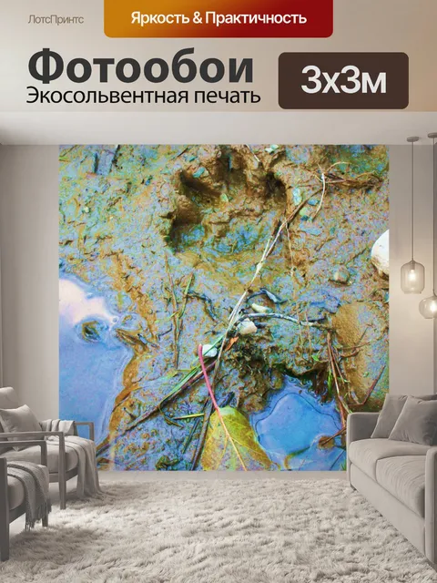 Фотообои Beaver треков