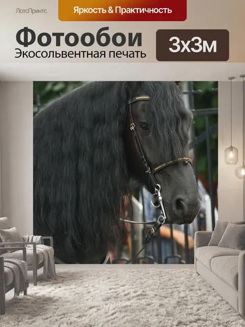 Фотообои Лошадь