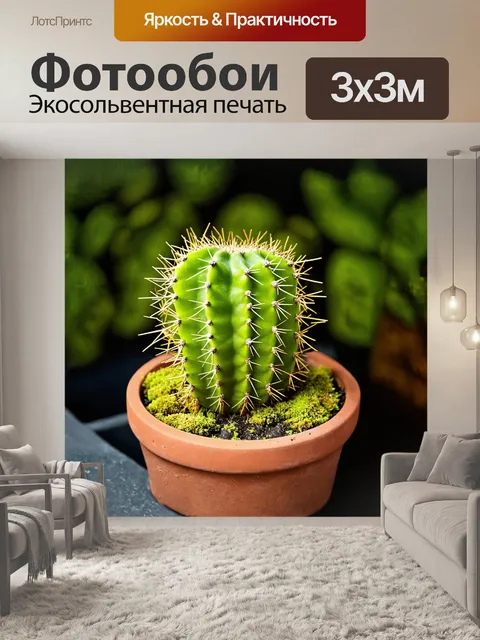 Фотообои пышный кактус с множеством веточек