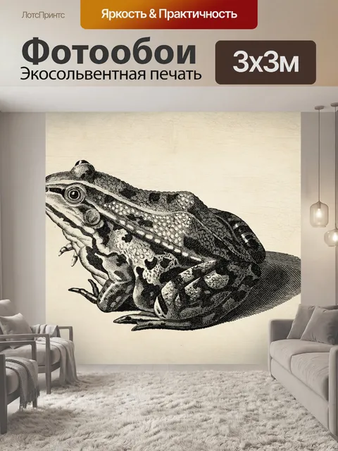 Фотообои Винтажная иллюстрация жаба-лягушка