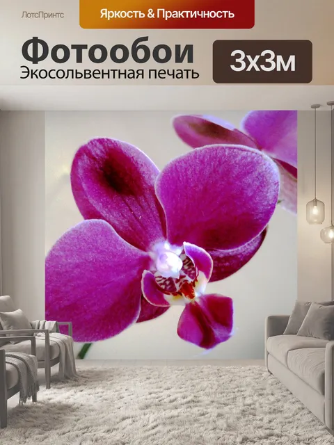 Фотообои ярко-розовые орхидеи