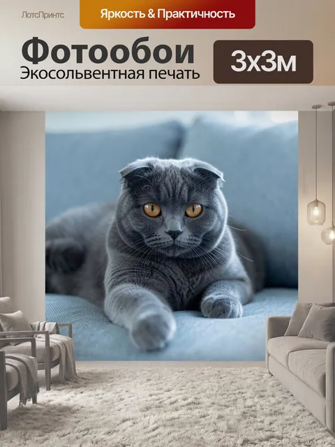Фотообои Серый кот с янтарными глазами