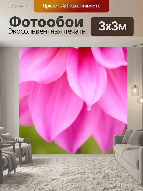 Фотообои Лепестки георгина 3
