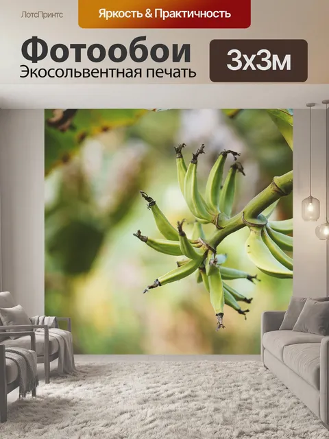Фотообои Банановое дерево