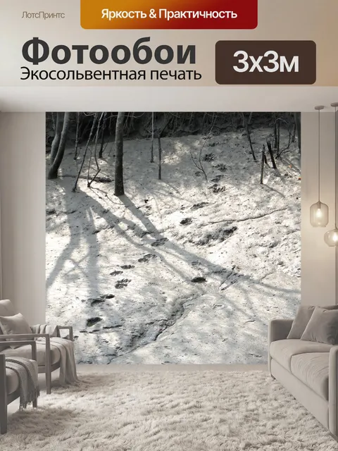 Фотообои Следы мопса