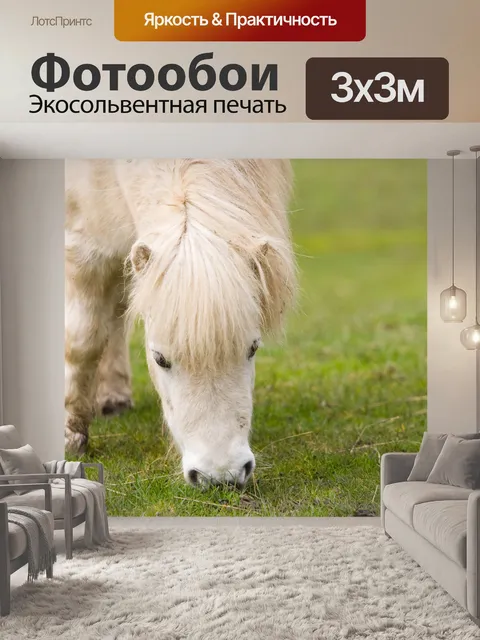 Фотообои Шетландские пони Выпас