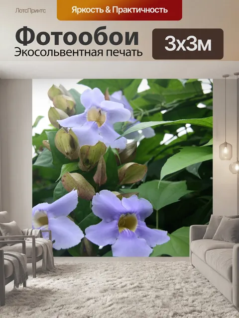 Фотообои Коста-Рика Цветы