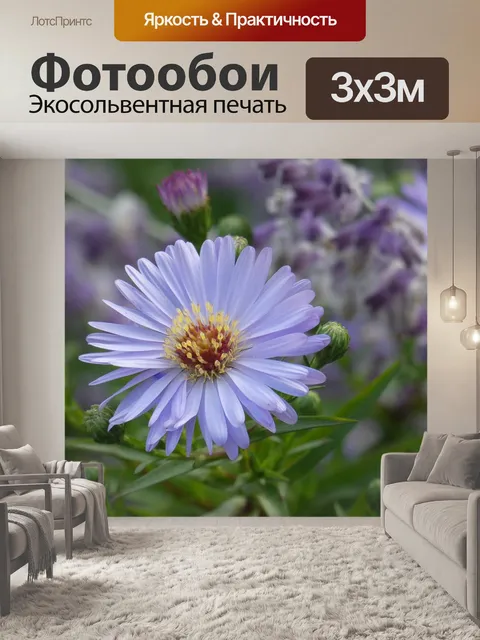Фотообои Синий