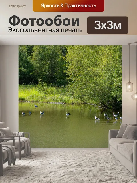 Фотообои озеро, окруженное природным заповедником и наблюдателями за птицами