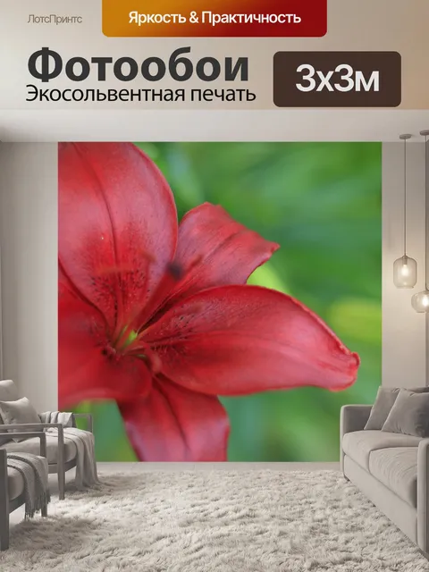 Фотообои Красный цветок лилии