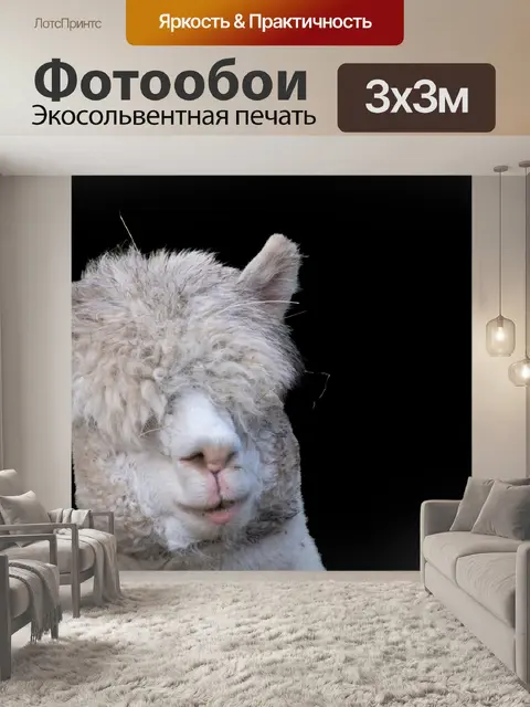Фотообои Альпака, горная лама