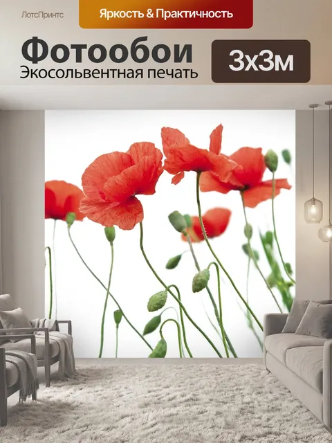 Фотообои Цветок мака