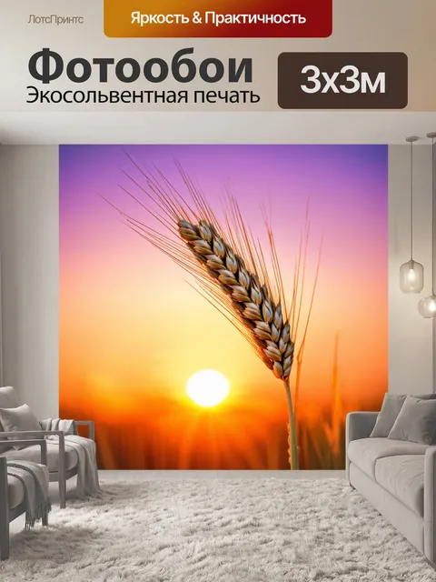 Фотообои колос, сосредоточенный на фоне великолепного заката, с переливами цвета от оранжевого до пурпурного…