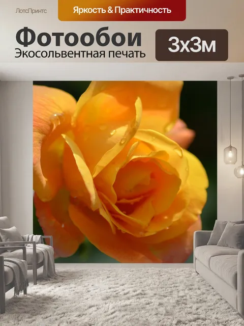 Фотообои Розовый