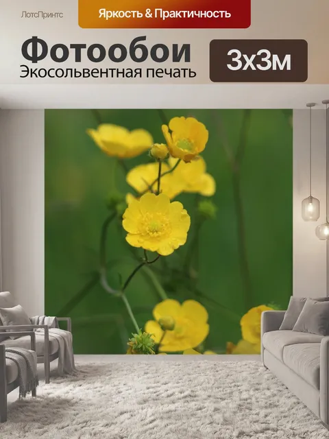 Фотообои Золотые пуговицы