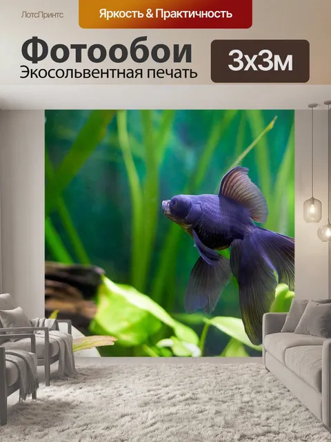 Фотообои Золотая рыбка