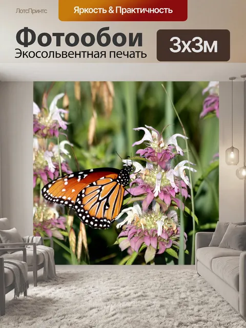 Фотообои Королева Бабочка на Полевых Цветы