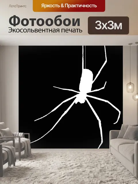 Фотообои белый силуэт паука