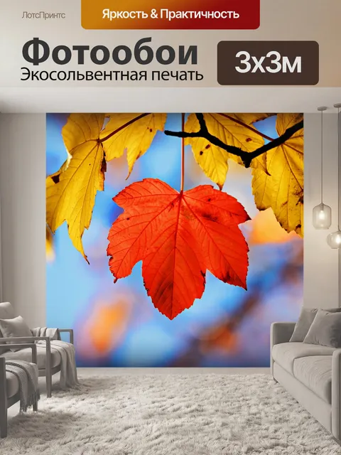 Фотообои Осенний лист