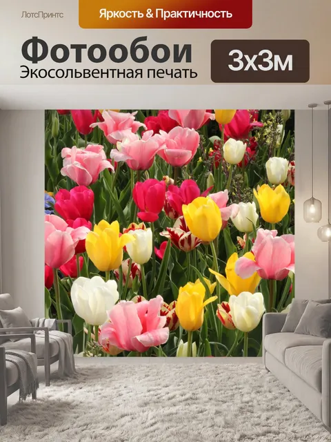 Фотообои Разноцветные тюльпаны полный кадр