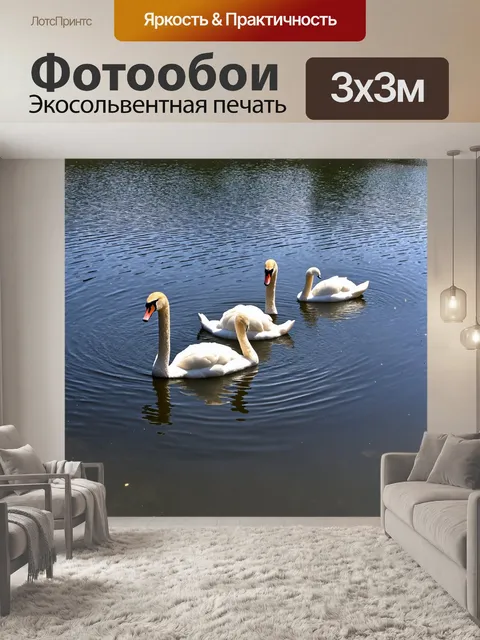 Фотообои озеро с лебедями, плавающими элегантно по поверхности