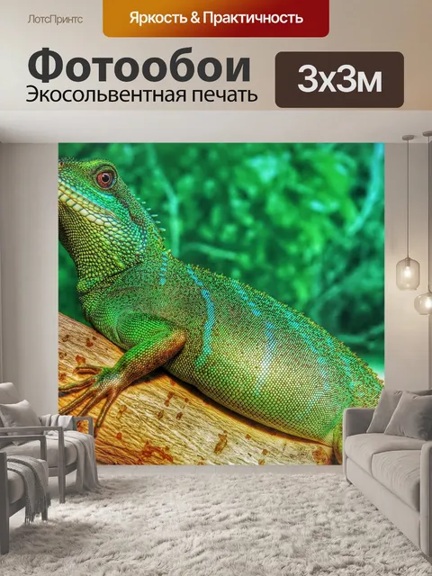 Фотообои Китайский язык
