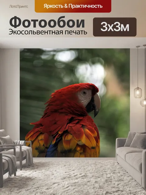 Фотообои Попугай ара