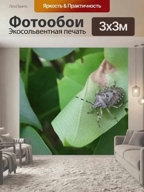 Фотообои Ошибка