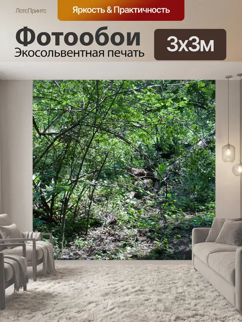 Фотообои кусты и заросли