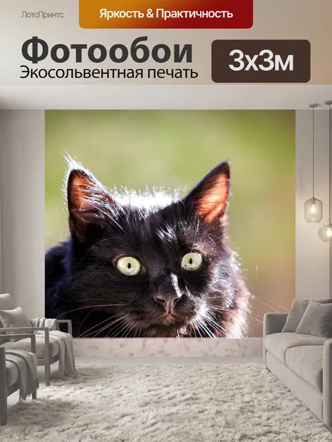 Фотообои Кошка