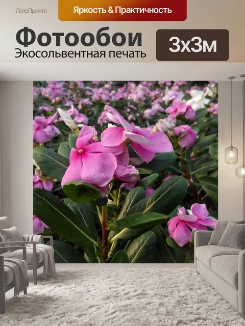 Фотообои Розовые цветы