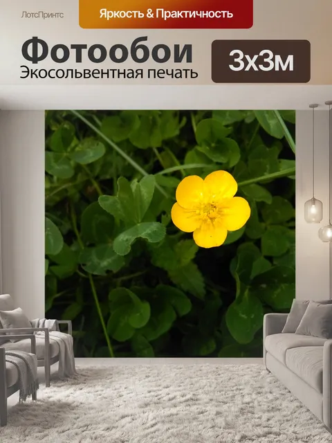 Фотообои Милый