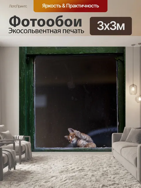 Фотообои Кошка